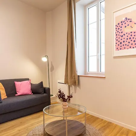 Charming 1br 2p - Lyon